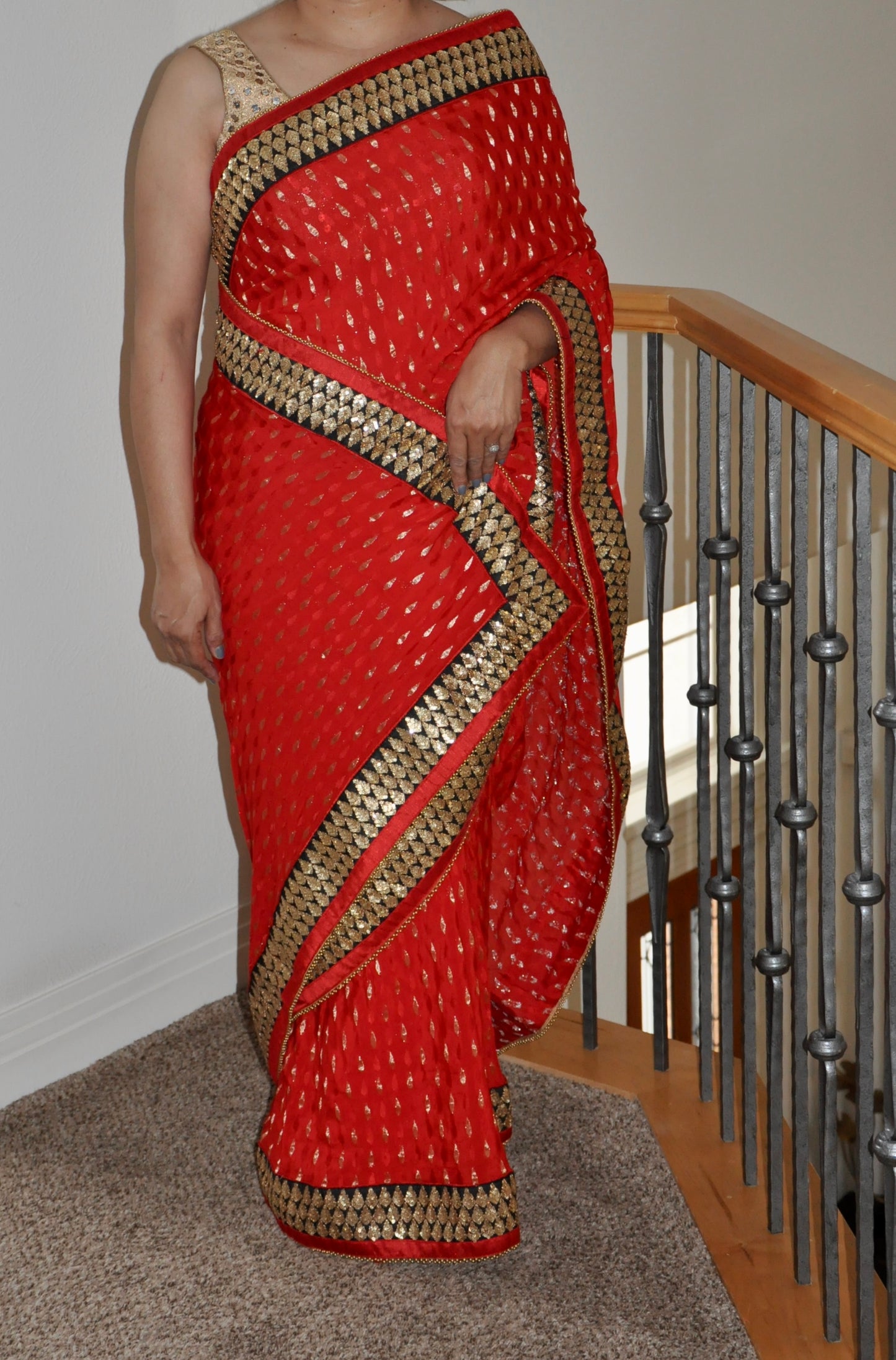 Red Saree with Shiny Gold Embroidery Border and Black Accents